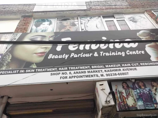 Femina Beauty Parlour & Training Centre, Amritsar - Photo 4