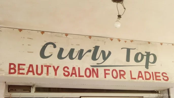 Curly Top, Amritsar - Photo 7