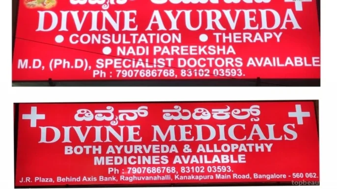 Divine Medicals & Divine Ayurveda, Bangalore - Photo 6