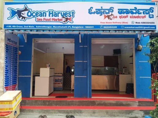 Ocean harvest sea food market, Bangalore - Photo 3