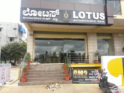 Lotus Ayurvedic Spa, Bangalore - Photo 2
