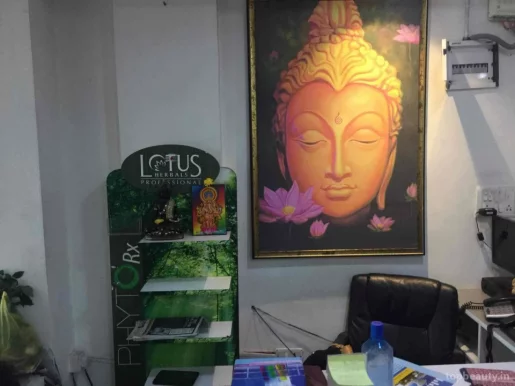 Lotus Digital, Bangalore - Photo 7