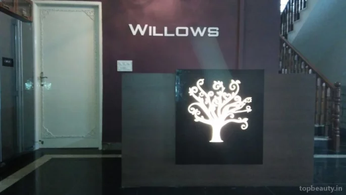 Willows Spa | Spa in Nungambakkam | Massage in Nungambakkam, Chennai - Photo 6