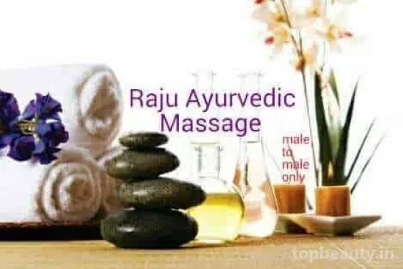 Raju Ayurvedic Massage Centre(male to male), Chennai - Photo 7