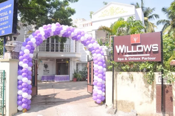 Willows Spa | Spa in Chetpet | Massage in Chennai, Chennai - Photo 6