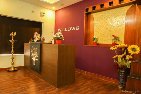 Willows Spa | Spa in Thiruvanmiyur | Massage in Thiruvanmiyur, Chennai - Photo 4