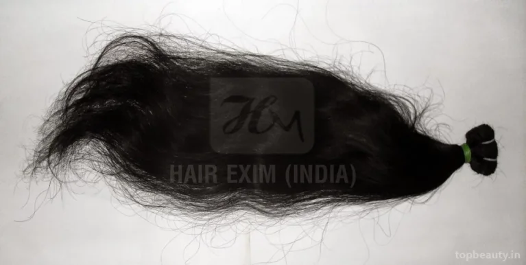 Hair Exim, Chennai - Photo 2