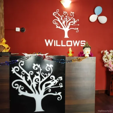 Willows Spa | Spa in Velacheri | Massage in Velacheri, Chennai - Photo 2