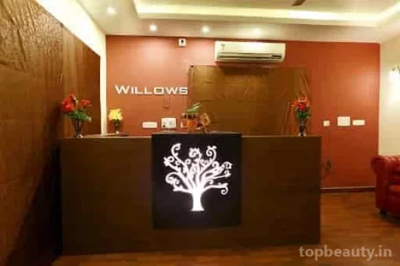 Willows Spa | Spa in ECR | Massage in ECR, Chennai - Photo 5