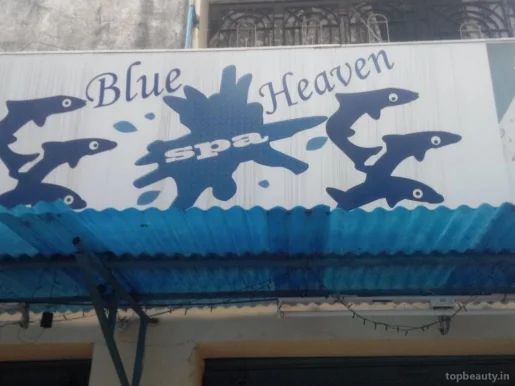 Blue Heaven Spa, Chennai - 