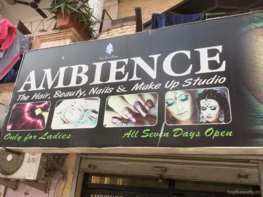 Ambience, Delhi - Photo 6