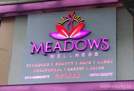 Meadows Wellness - Weight Loss, Hair & Skin Clinic, Lajpat Nagar, Delhi - Photo 2