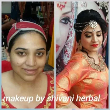 Shivani Herbal Beauty Salon, Delhi - Photo 2