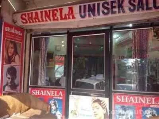 Shainela Unisex Saloon, Delhi - Photo 3
