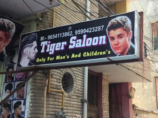 Tiger Saloon, Delhi - Photo 4