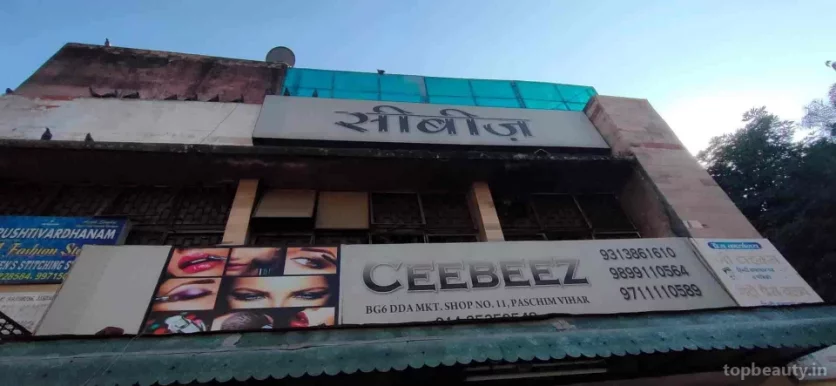 CEEBEEZ Beauty Parlour, Delhi - Photo 4