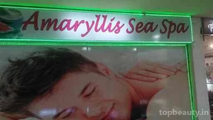 Amaryllis sea spa, Delhi - Photo 6