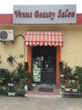 Venus Beauty Salon, Delhi - Photo 3