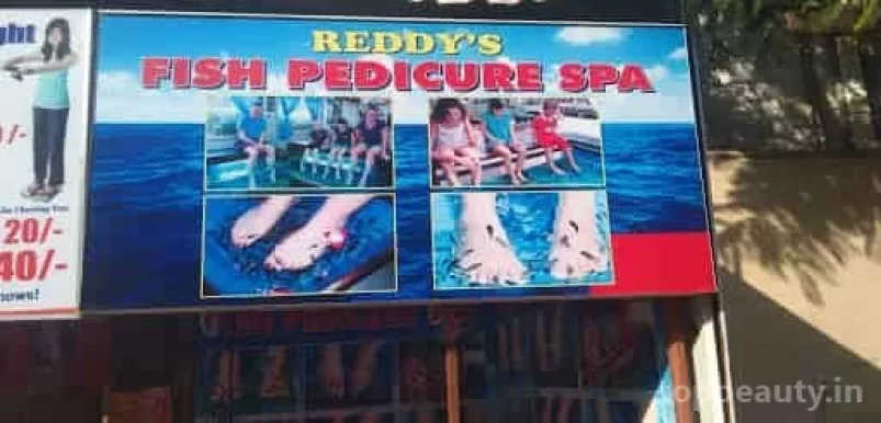 Reddy's Fish Pedicure Spa, Hyderabad - Photo 2