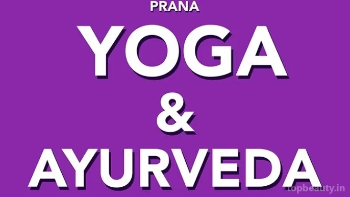 Prana Holistic( Ayurveda, Pancha karma, Diet, Sound healing), Hyderabad - Photo 2