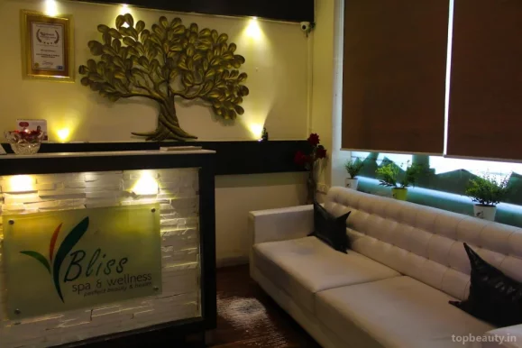 Bliss Spa & Wellness, Indore - Photo 4