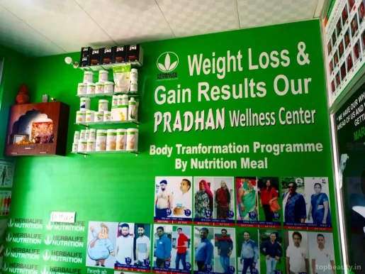 Pradhan Wellness Center, Jaipur - Photo 3