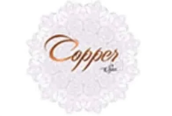 Copper spa, Jaipur - Photo 5