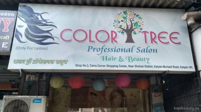 Color tree, Kalyan - 