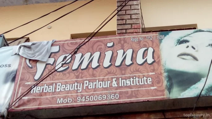 Femina Herbal Beauty Parlour And Institute, Kanpur - Photo 2