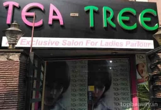 Tea Tree Ladies Beauty Parlour Lake Gardens-Best Facial, Hair &Skin Treatment Jadavpur, Kolkata - Photo 2