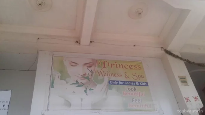 Princess Wallness & Spa Ladies Beauty Palour, Kota - 