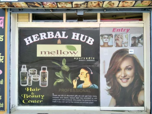 Herbal Hub, Meerut - Photo 4