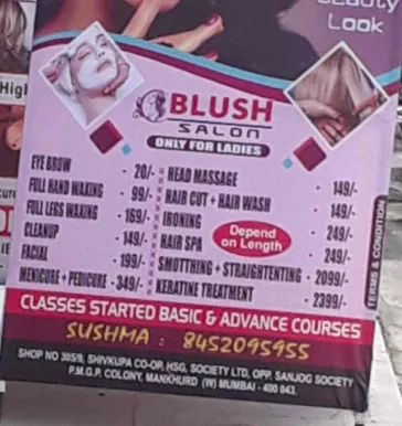 Blush ladies salon, Mumbai - 