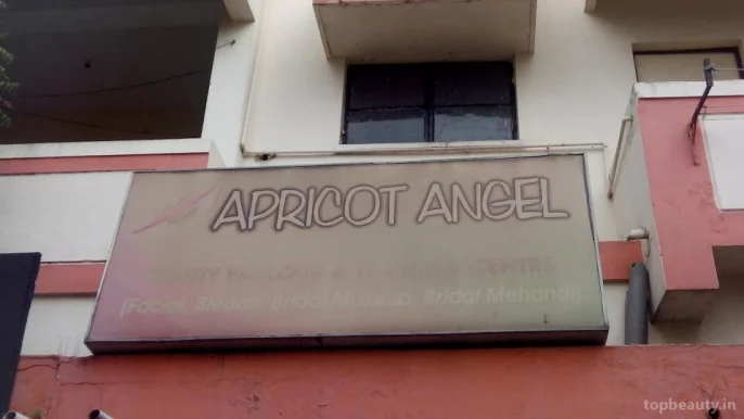 Apricot Angel, Nagpur - Photo 1