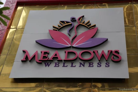 Meadows Wellness India Pvt Ltd, Noida - Photo 3