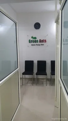 Green Ants Holistic Therapy Clinic, Pune - Photo 1