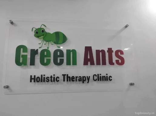 Green Ants Holistic Therapy Clinic, Pune - Photo 8