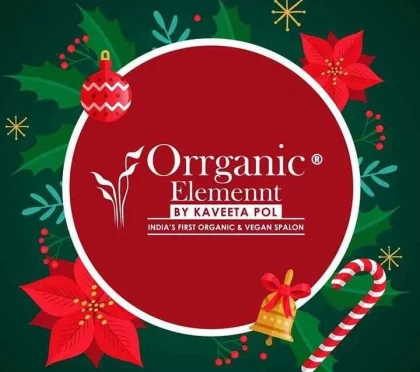 Orrganic Elemennt – Hair care and spa in Pune