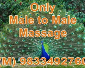 Peacock Massage Service, Mumbai - 